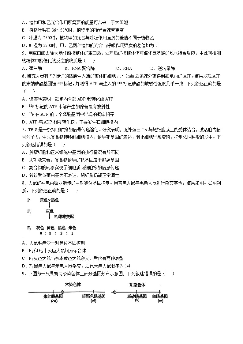 北京市通州区2024-2025学年高三上学期11月期中质量检测生物试题(无答案)02