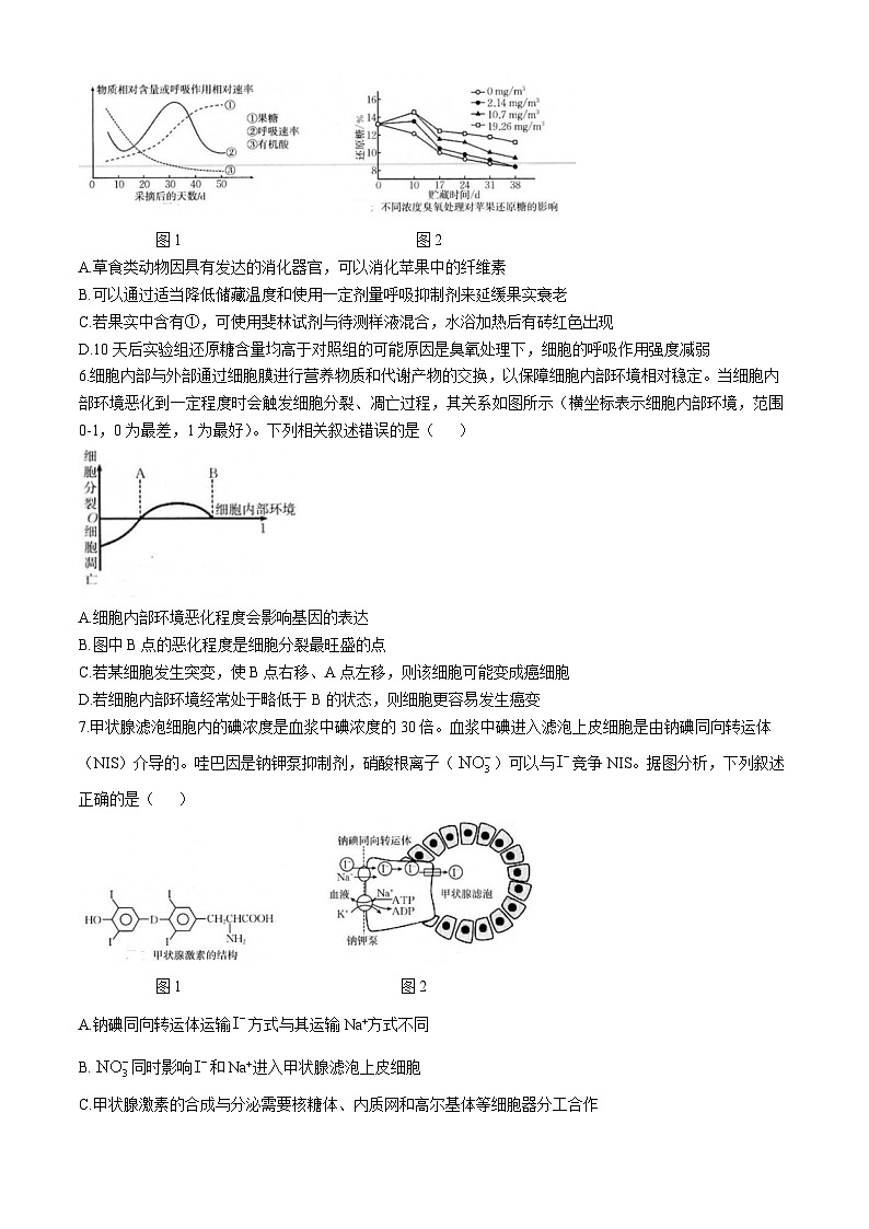 福建省龙岩市一级联盟校2024-2025学年高三上学期11月期中联考生物试题02