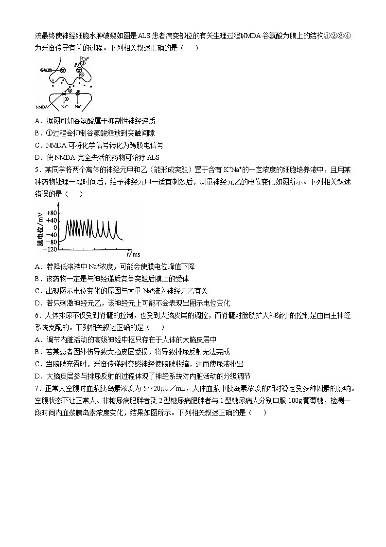 安徽省阜阳市太和中学2024-2025学年高二上学期11月期中生物试题02