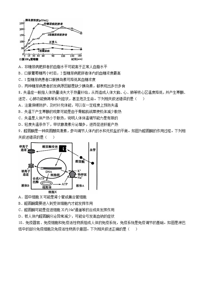 安徽省阜阳市太和中学2024-2025学年高二上学期11月期中生物试题03