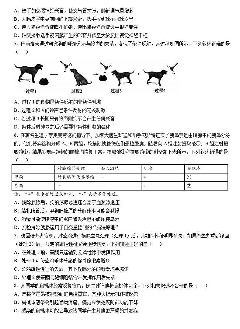 南阳六校联考（天一大联考）2024-2025学年高二上学期期中生物试卷及答案第2页