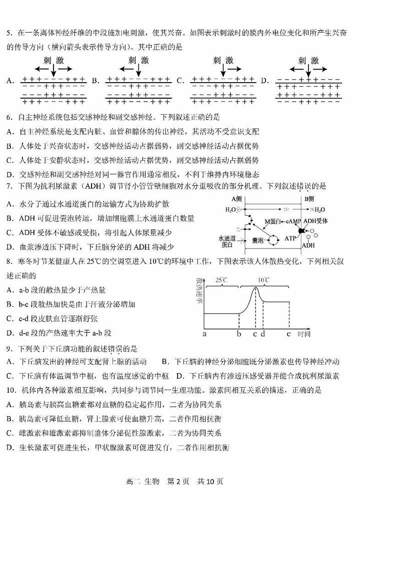 2024北京五十五中高二上学期期中真题生物试卷02