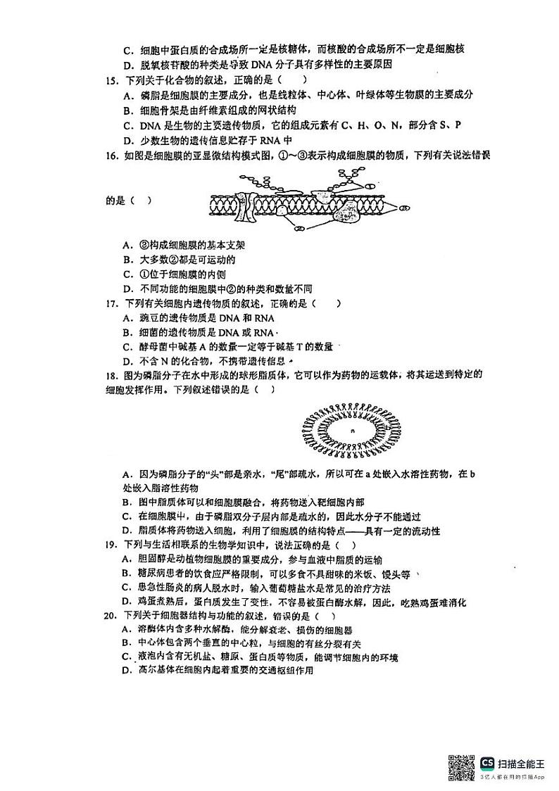 陕西省部分学校2024-2025学年高一上学期11月期中考试生物试题第3页