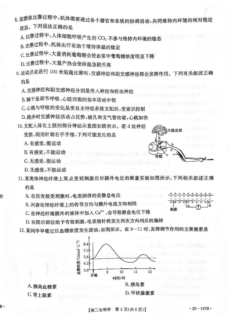 贵州省遵义市2024-2025学年高二上学期11月期中考试生物试题第3页