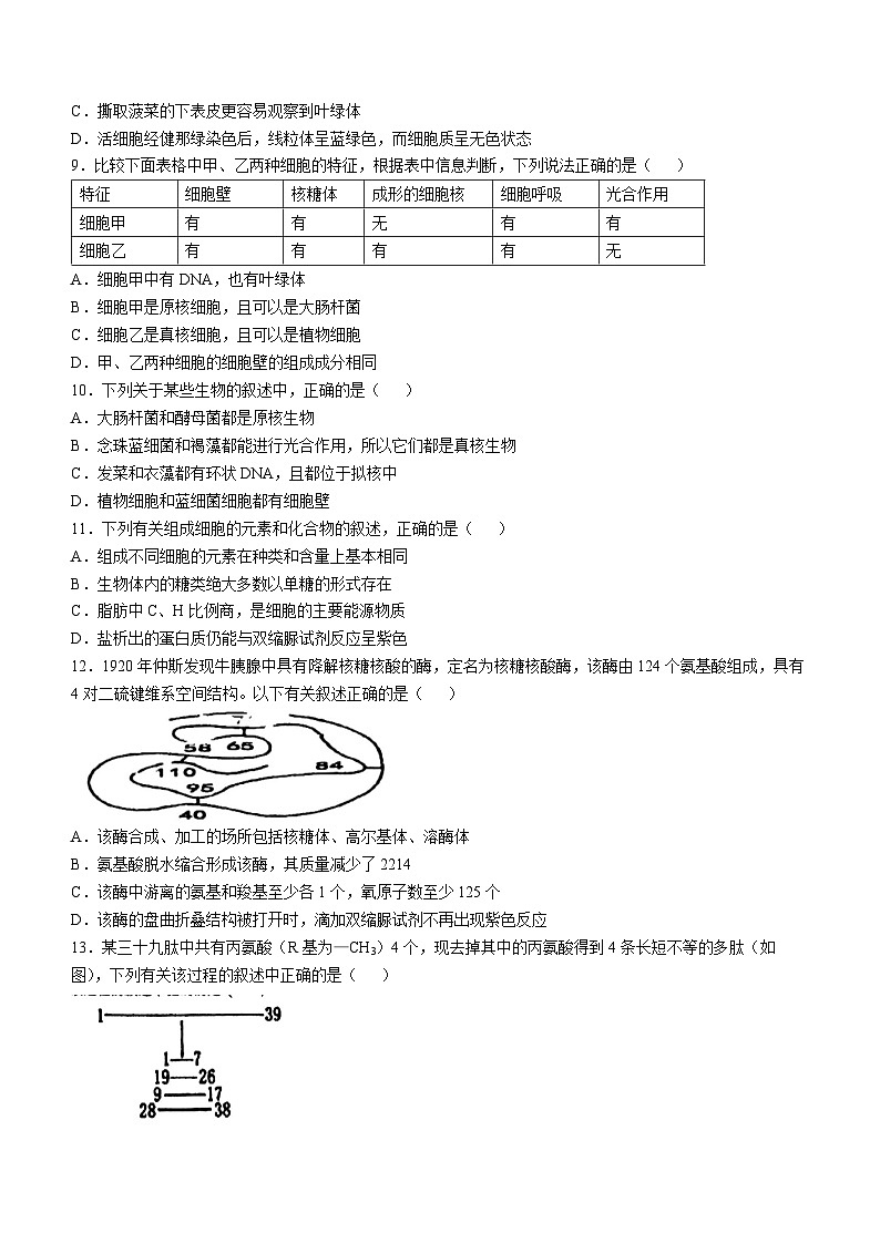 陕西省部分学校2024-2025学年高一上学期11月期中考试生物试题(无答案)第2页