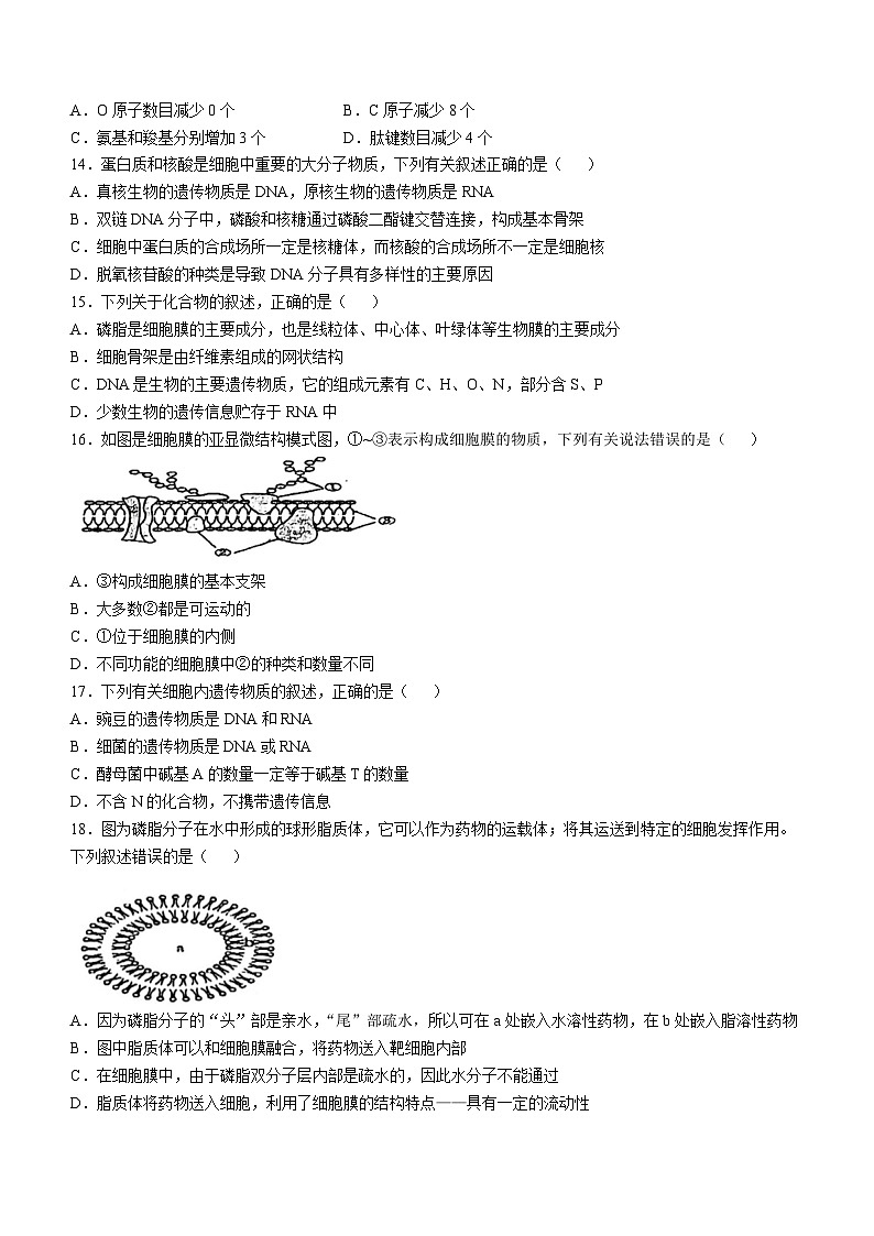 陕西省部分学校2024-2025学年高一上学期11月期中考试生物试题(无答案)第3页