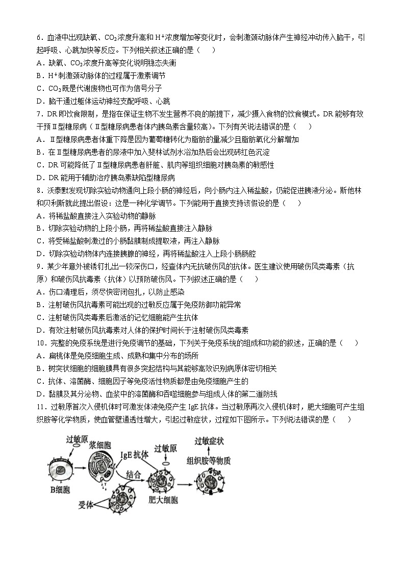 广西南宁市普通高中2024-2025学年高二上学期11月期中联合考试生物试卷(无答案)第2页