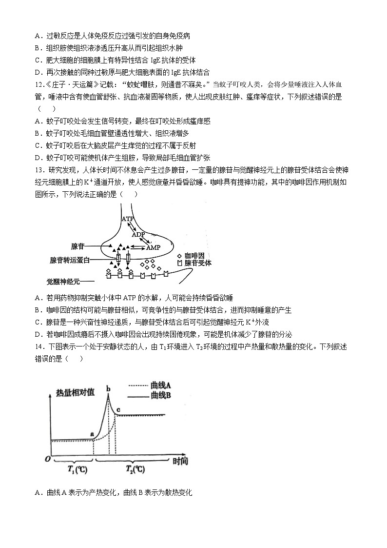 广西南宁市普通高中2024-2025学年高二上学期11月期中联合考试生物试卷(无答案)第3页