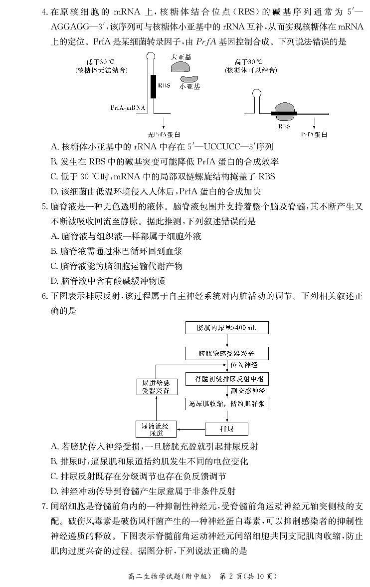 湖南省长沙市湖南师范大学附属中学2024-2025学年高二上学期期中考试生物试卷第2页