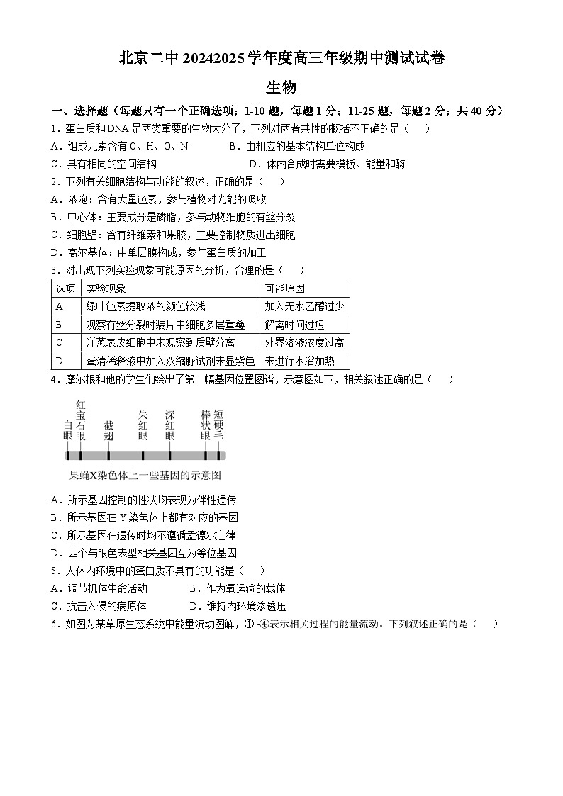 北京市二中2024-2025学年高三上学期期中调研生物试卷第1页