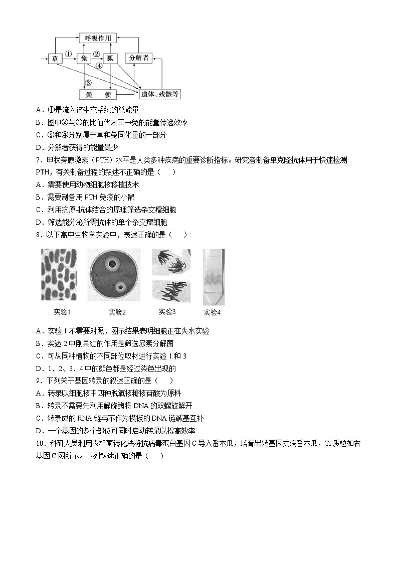 北京市二中2024-2025学年高三上学期期中调研生物试卷第2页