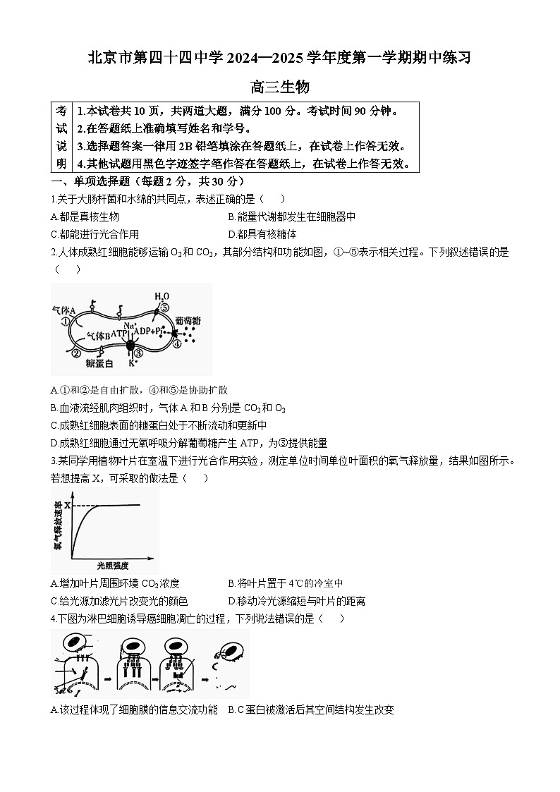 北京市第44中学2024-2025学年高三上学期期中考试生物试题(无答案)第1页