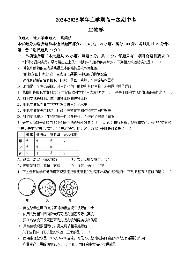 广东省广州市第6中学2024-2025学年高一上学期期中考试生物试卷第1页