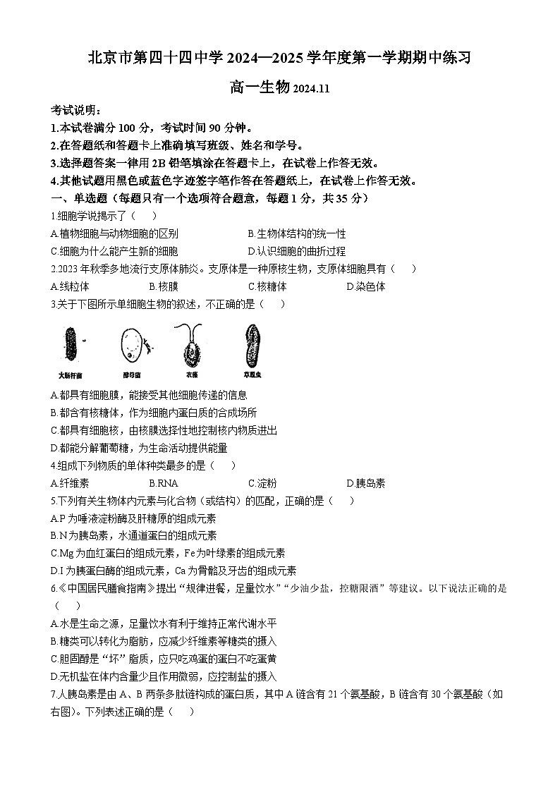 北京市第四十四中学2024-2025学年高一上学期11月期中考试生物试题(无答案)第1页