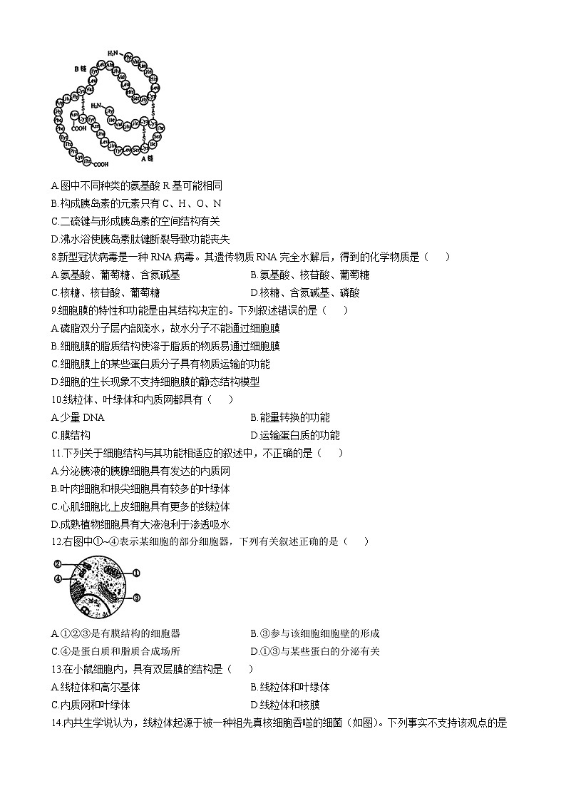 北京市第四十四中学2024-2025学年高一上学期11月期中考试生物试题(无答案)第2页