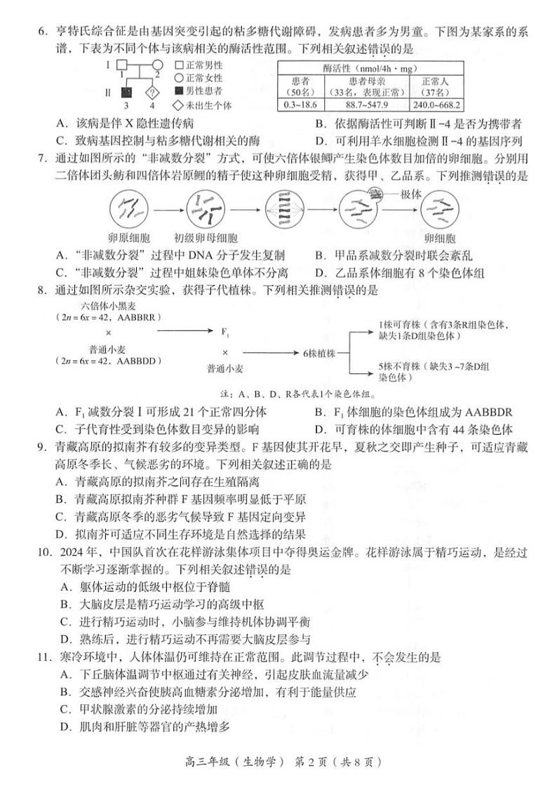 海淀区2024一2025学年第一学期期中练习高三生物学第2页