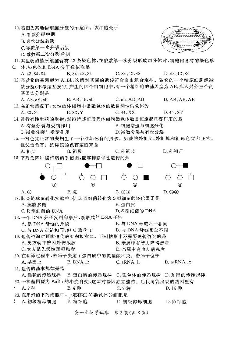 2024北京通州高一（下）期中生物试题及答案第2页