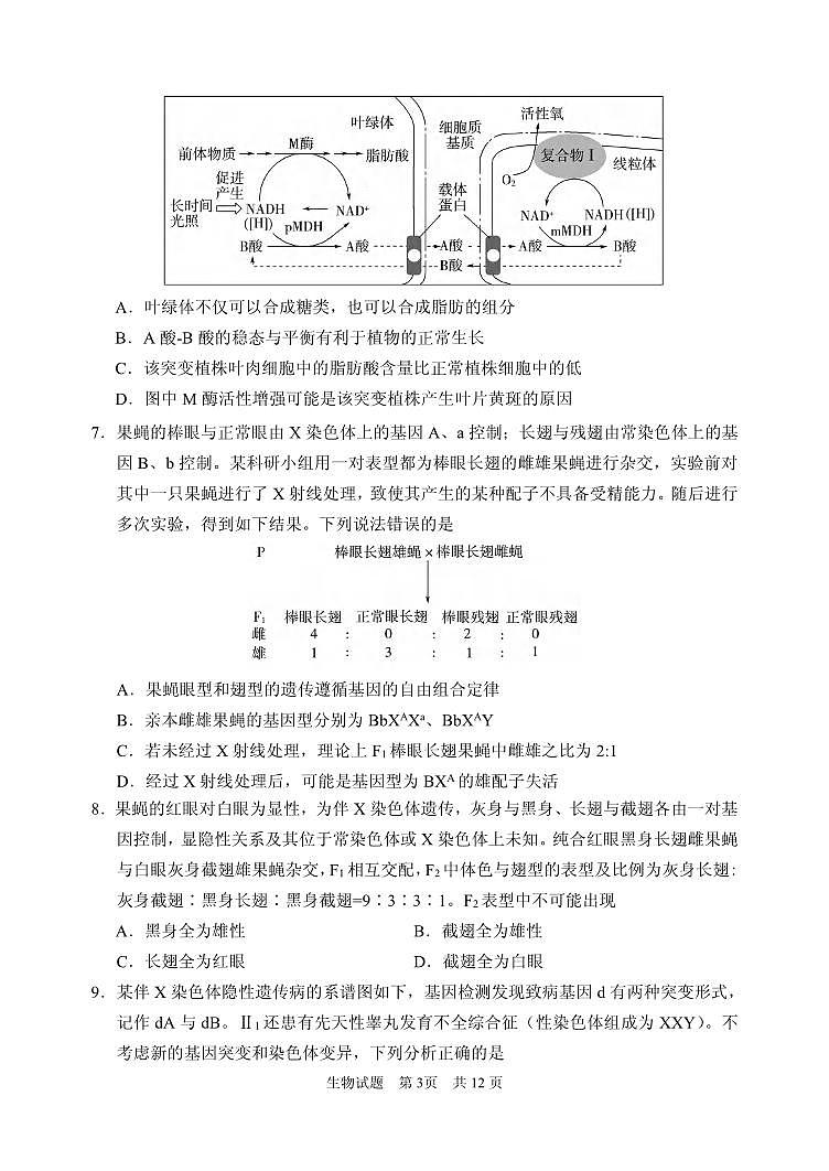 生物丨山东省山东实验中学2025届高三11月其中考暨第二次诊断考试生物试卷及答案第3页