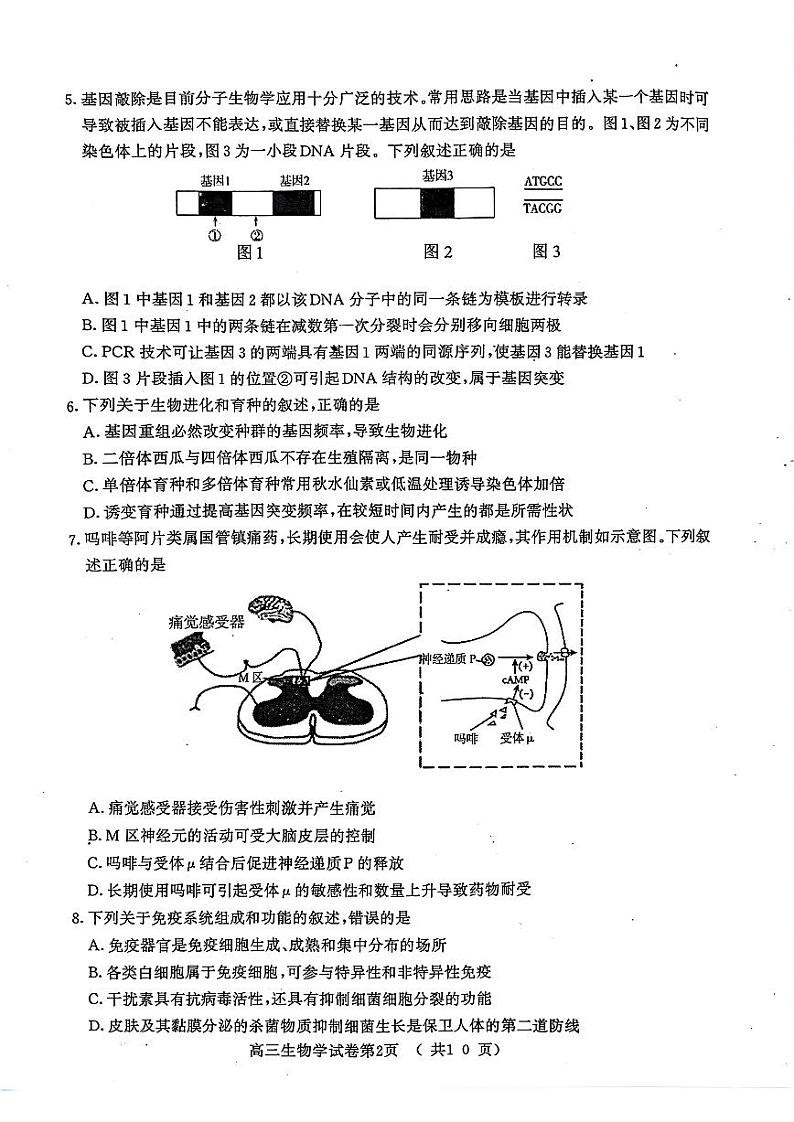 江苏省南京市2025届高三上学期学情调研9月生物试题02