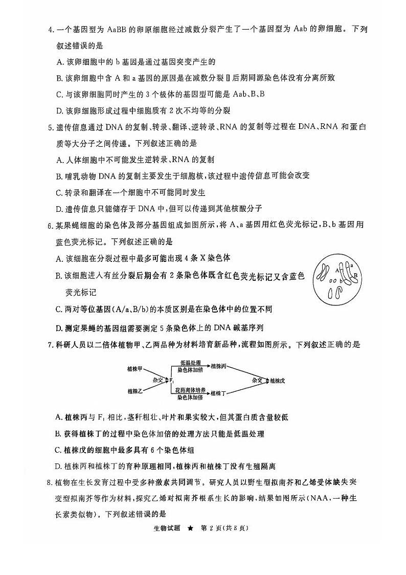 河南省青桐鸣2024-2025学年高三上学期9月质量检测考试联考+生物试题第2页