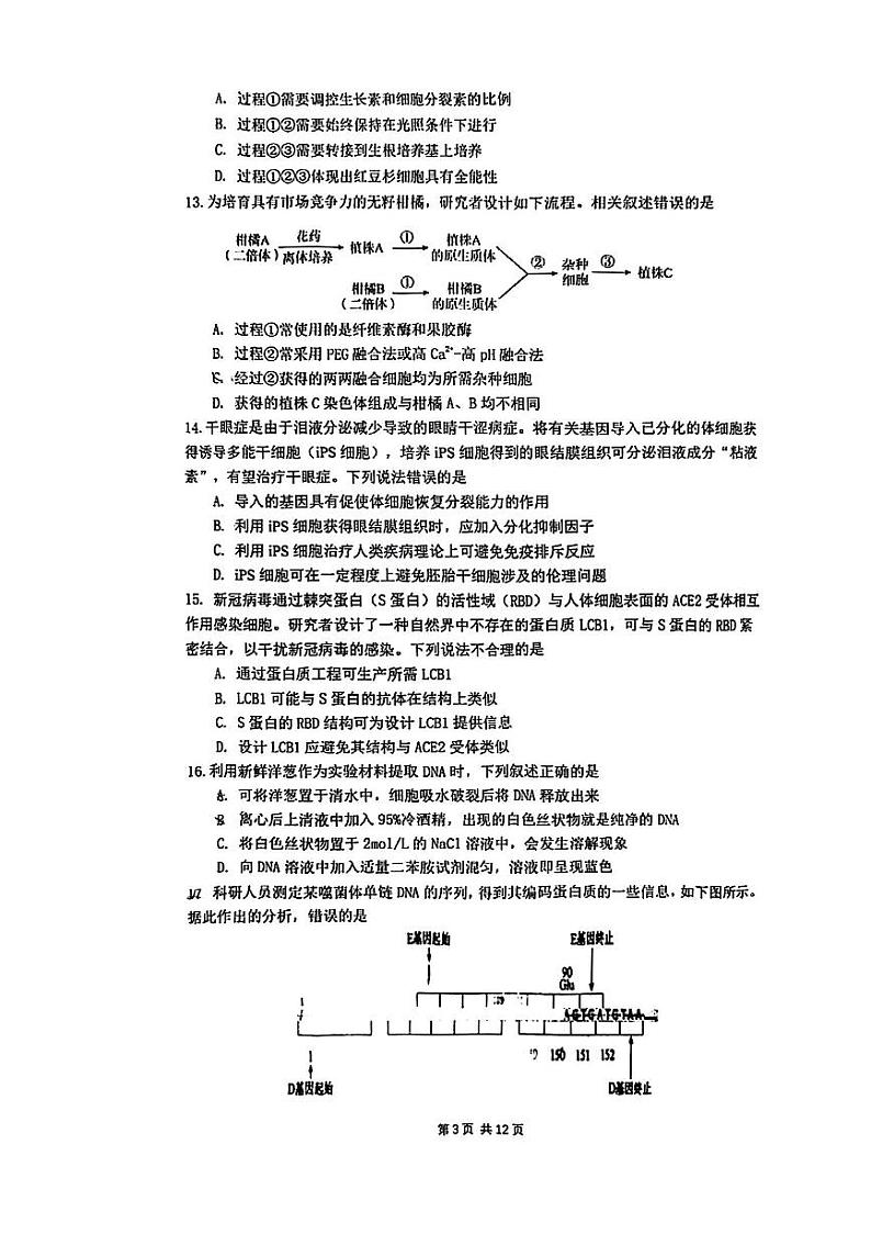 2024北京清华附中高二（下）期中生物试题及答案第3页
