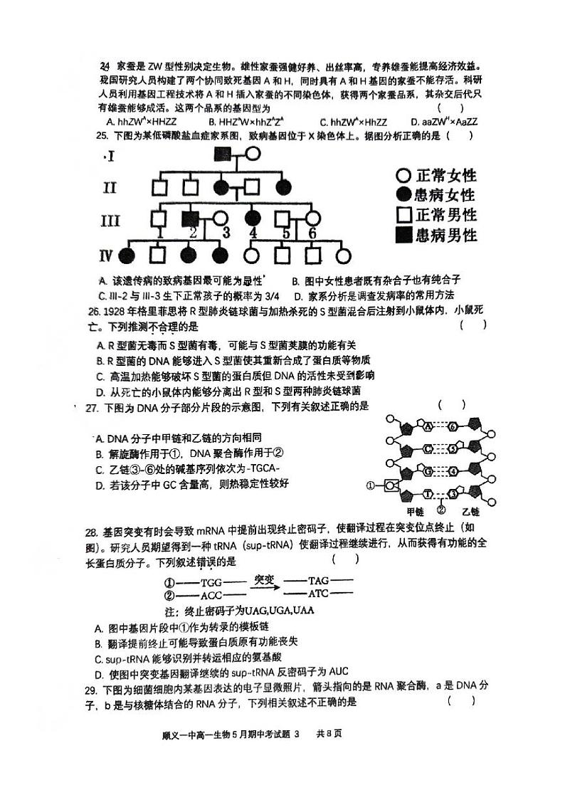 2024北京顺义一中高一（下）期中生物试题及答案第3页