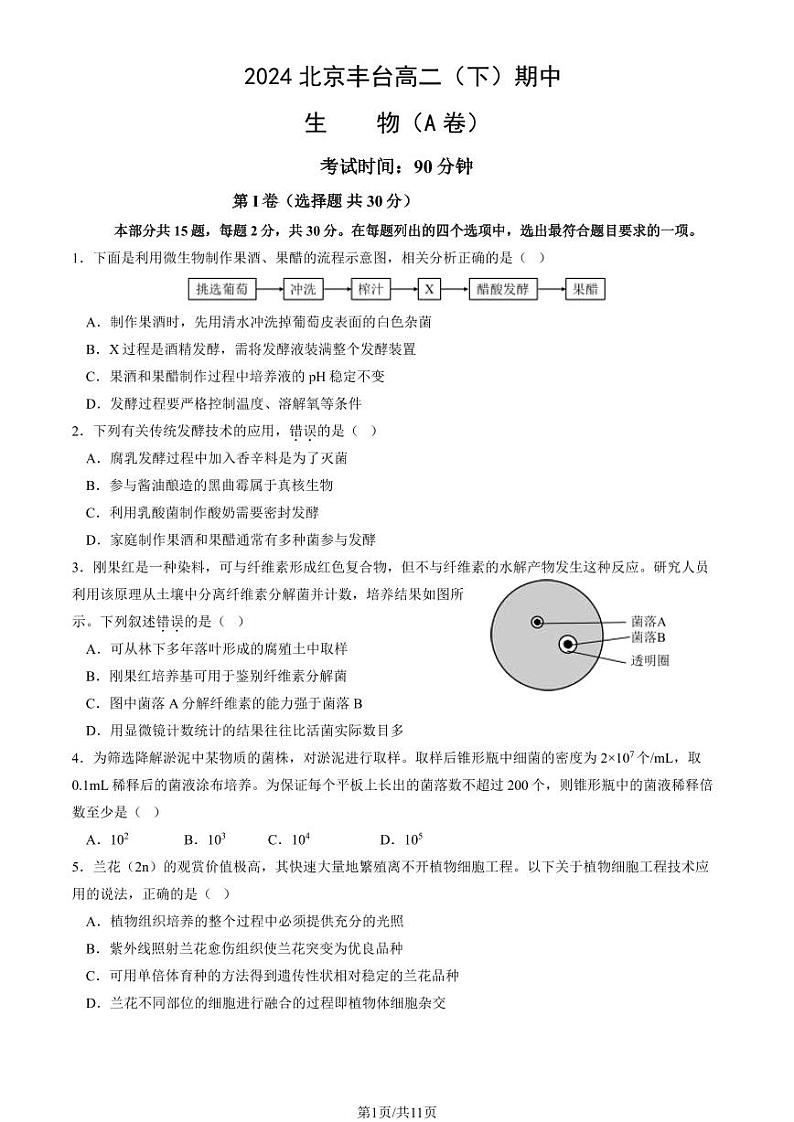2024北京丰台高二（下）期中生物（A卷）试题及答案第1页
