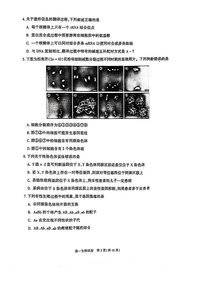 2024北京朝阳高一（下）期末生物试题及答案第2页