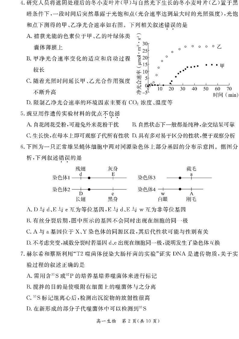 2024北京东城高一（下）期末生物试题及答案第2页