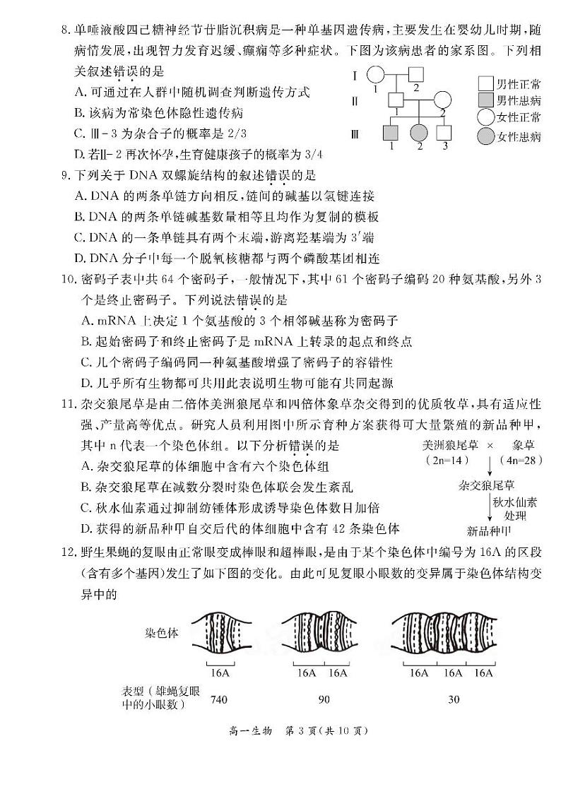 2024北京东城高一（下）期末生物试题及答案第3页