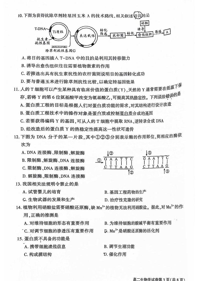 2024北京大兴高二（下）期末生物试题及答案第3页