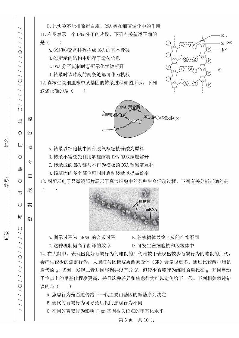 2024北京101中高一（下）期末生物试题及答案第3页