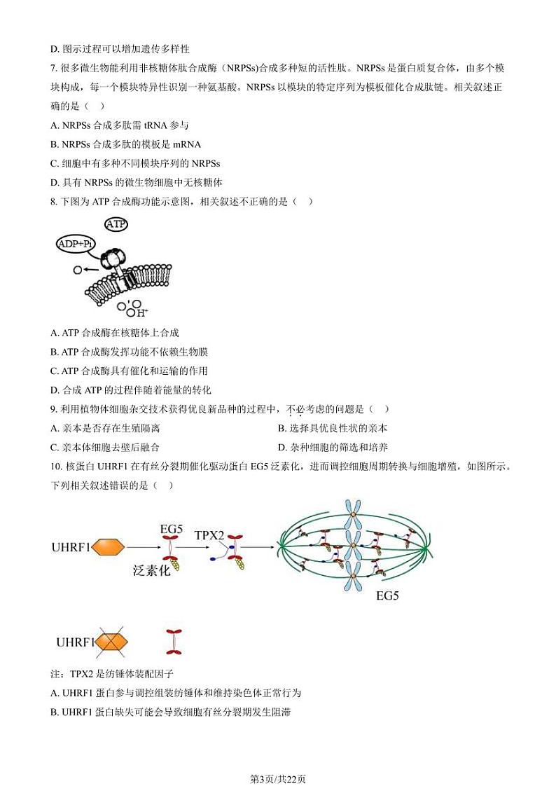 2024北京延庆高二（下）期末生物试题及答案第3页