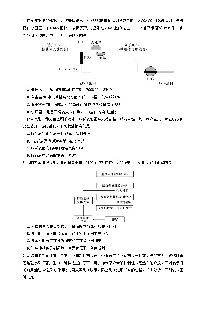 湖南省长沙市湖南师范大学附属中学2024-2025学年高二上学期期中考试生物试卷第2页