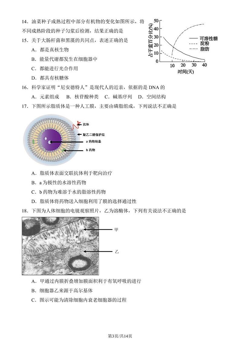 2024北京四中高一上学期期中真题生物试卷（教师版）第3页