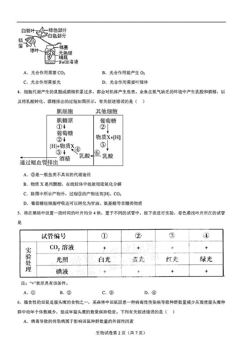 四川省名校联盟2024-2025学年高三上学期第二次联考生物试题第2页
