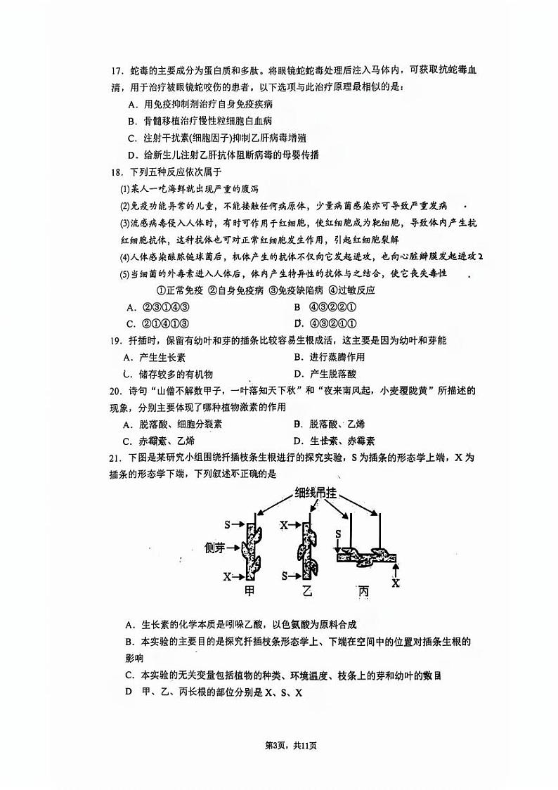 北京市清华大学附属中学2024-2025学年高二上学期期中考试生物试题第3页