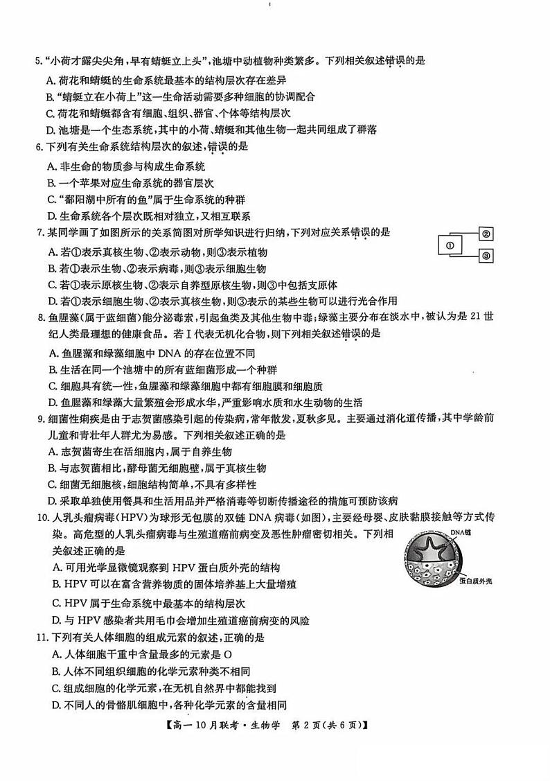 2025洛阳强基联盟高一上学期10月联考试题生物PDF版含解析第2页