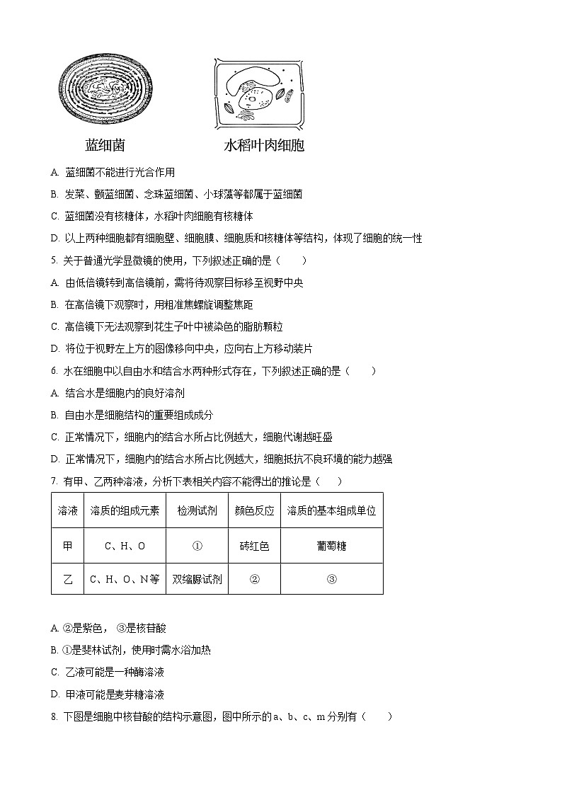 吉林省友好学校第78届期中联考2024-2025学年高一上学期期中考试生物试题无答案第2页