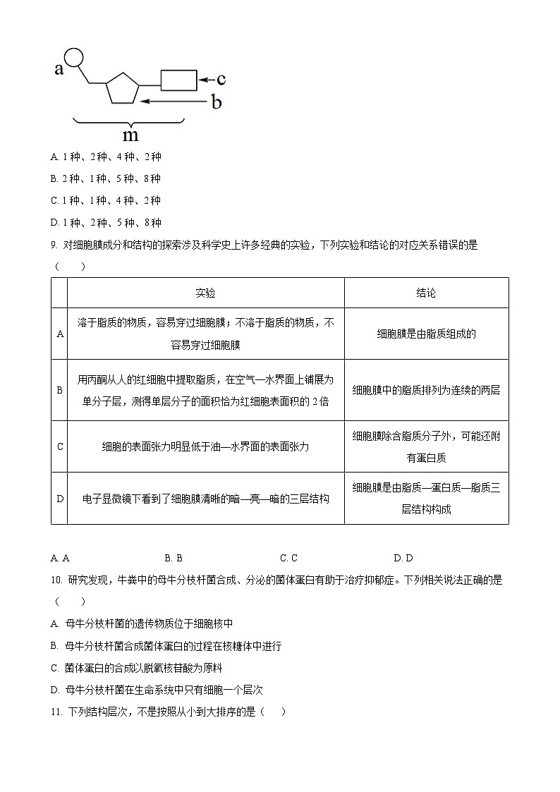 吉林省友好学校第78届期中联考2024-2025学年高一上学期期中考试生物试题无答案第3页