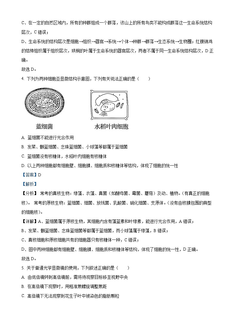 吉林省友好学校第78届期中联考2024-2025学年高一上学期期中考试生物试题含解析第3页