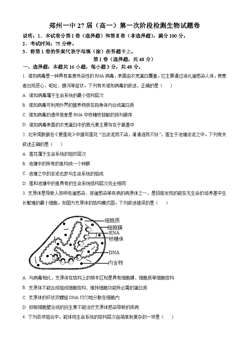 河南省郑州市第一中学2024-2025学年高一上学期第一次阶段测试生物试卷无答案第1页