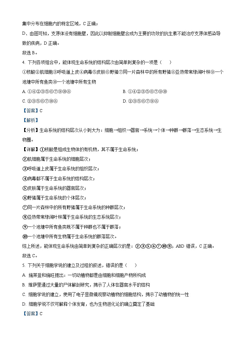 河南省郑州市第一中学2024-2025学年高一上学期第一次阶段测试生物试卷含解析第3页