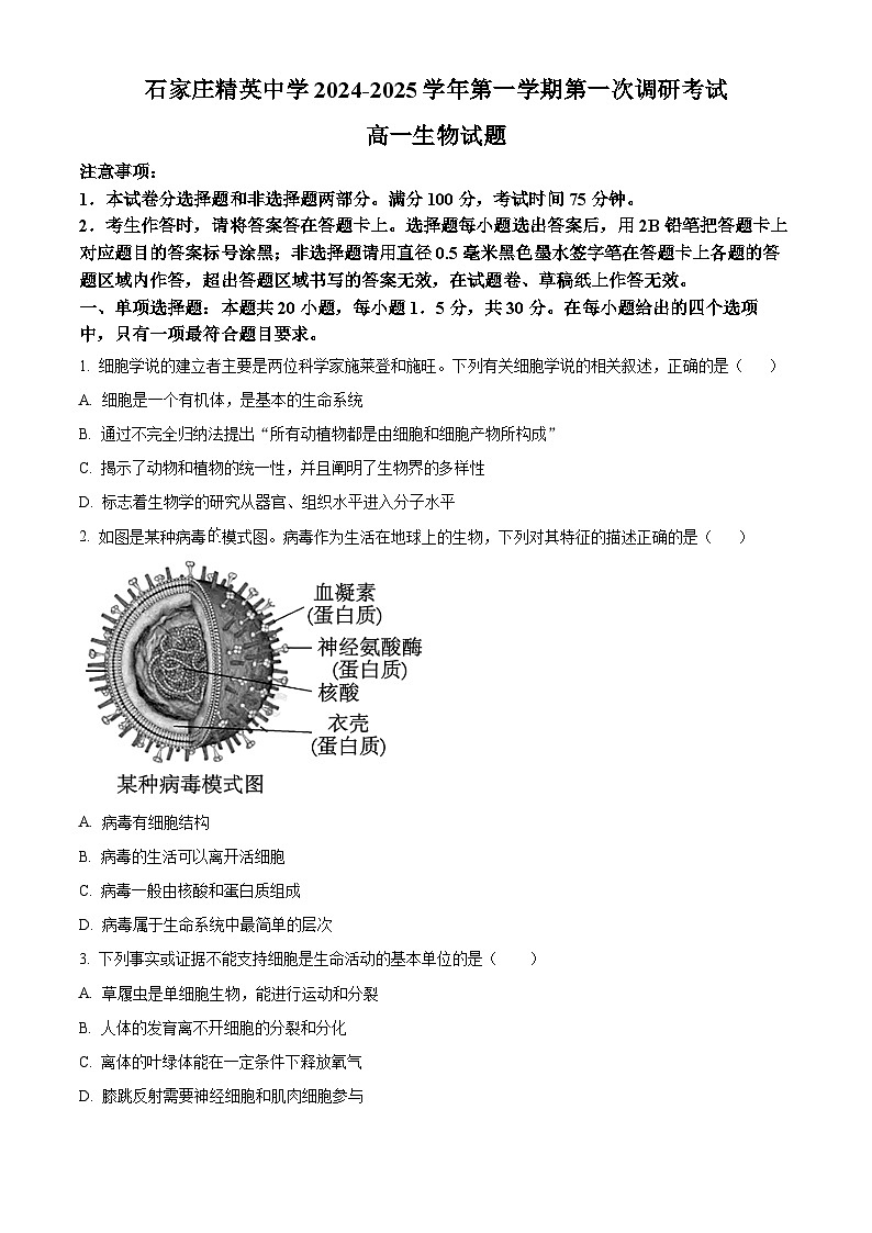 河北省石家庄精英中学2024-2025学年高一上学期10月月考生物试卷无答案第1页