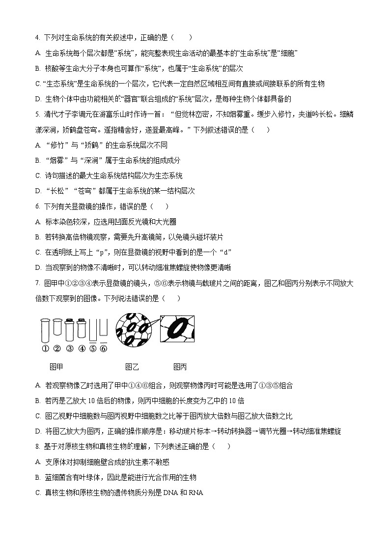 河北省石家庄精英中学2024-2025学年高一上学期10月月考生物试卷无答案第2页