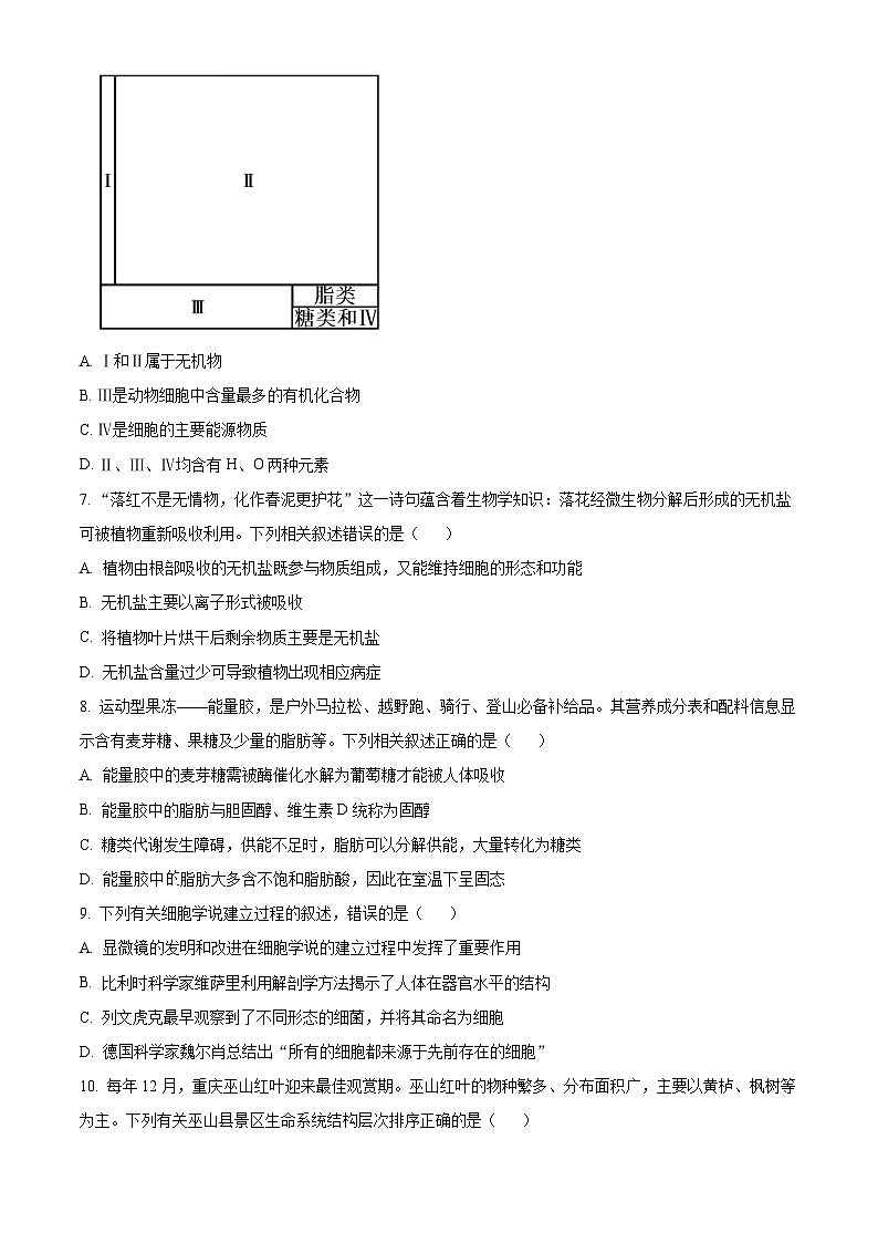 2025衡水武强中学高一上学期期中考试生物试题含解析02