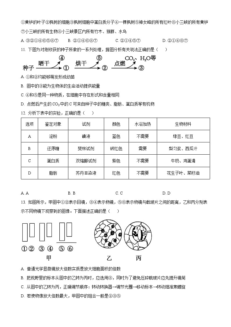 2025衡水武强中学高一上学期期中考试生物试题含解析03