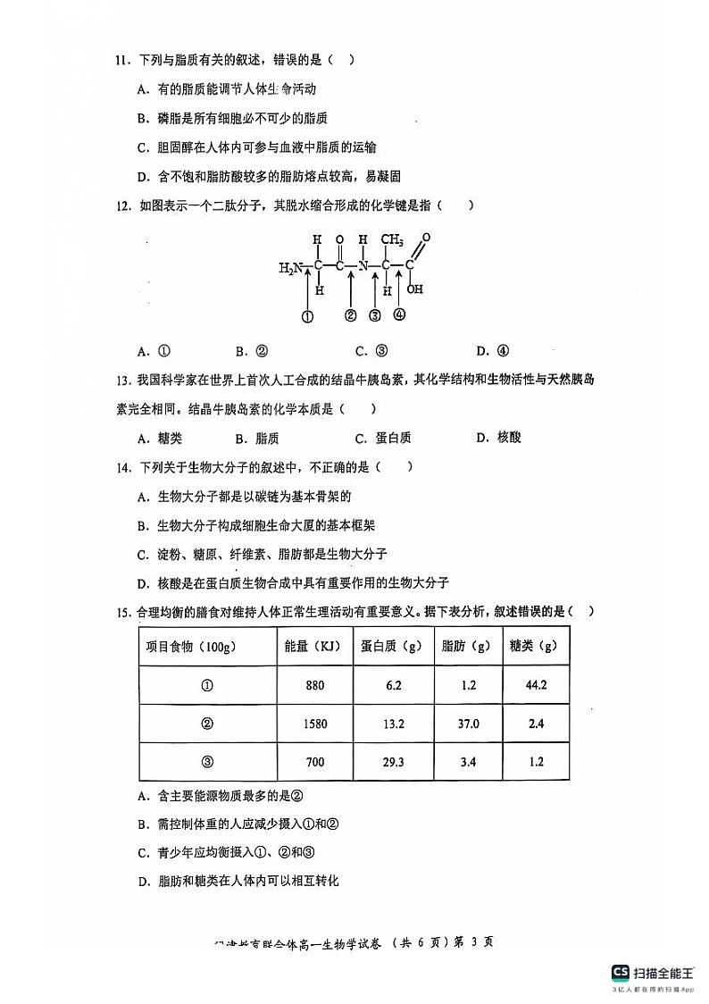 2025武汉问津教育联合体高一上学期10月联考试题生物PDF版含解析第3页