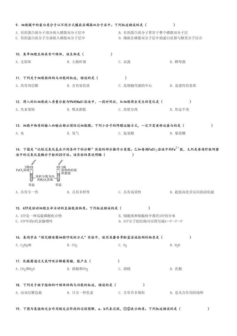 2024～2025学年重庆高二上学期月考生物试卷(开州中学第一次)[原题+解析版]第2页
