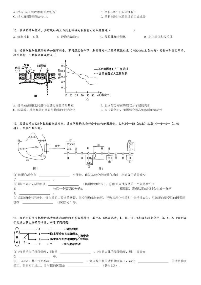 2024～2025学年新疆高一上学期期中生物试卷(兵地联盟 )[原题+解析版]第3页